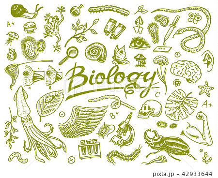 Scientific Laboratory In Biology Icon Set Of のイラスト素材