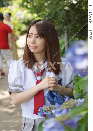 紫陽花の季節・通学途中の女子高生 42935115