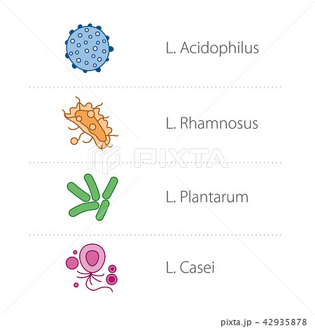 Healthy intestinal bacteria icons 42935878