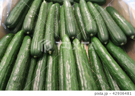 きゅうり きゅうり 42936481