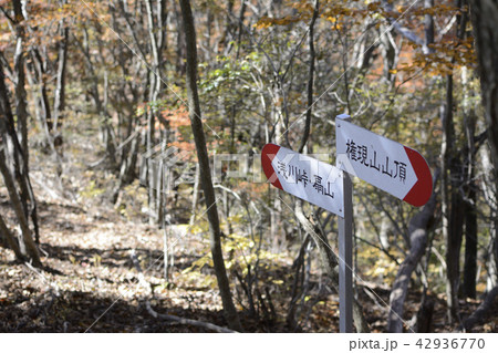 浅川峠 42936770