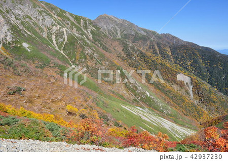 南アルプス 赤石岳・荒川三山 南アルプス 赤石岳・荒川三山 42937230