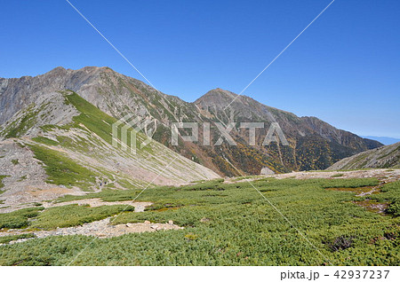 南アルプス　赤石岳・荒川三山 42937237