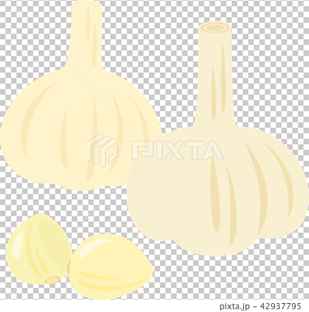 garlic  42937795