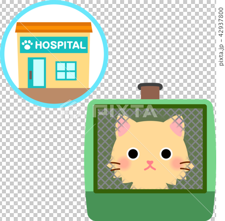 ペットキャリーに入った猫と動物病院のイラスト素材
