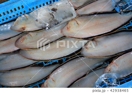 漁港に水揚げされた魚 漁港に水揚げされた魚 42938465