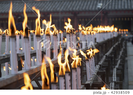 四天王寺　中元万灯供養 42938509
