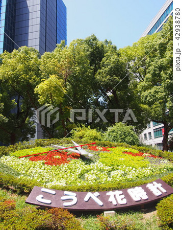 Flower clock こうべ花時計 神戸市 Flower clock こうべ花時計 神戸市 42938780