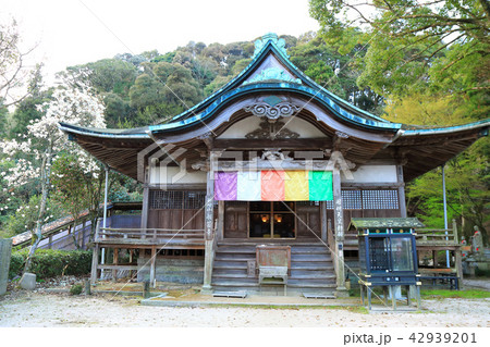 春の山口県神峰山 般若寺 春の山口県神峰山 般若寺 42939201