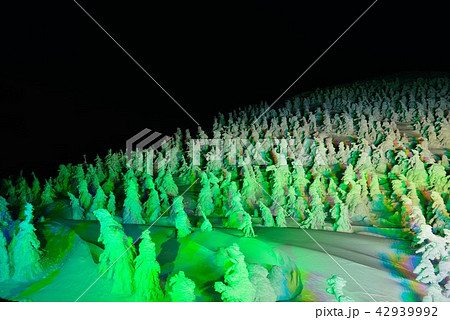 蔵王の冬景色　ライトアップ 42939992
