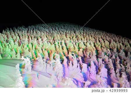 蔵王の冬景色　ライトアップ 42939993