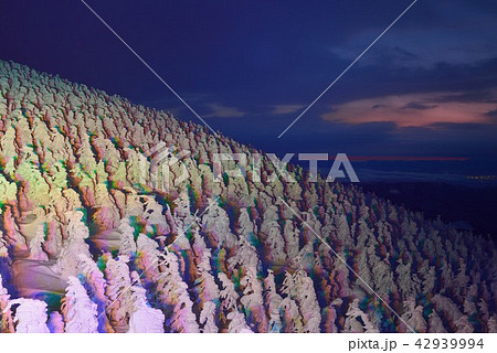 蔵王の冬景色　ライトアップ 42939994