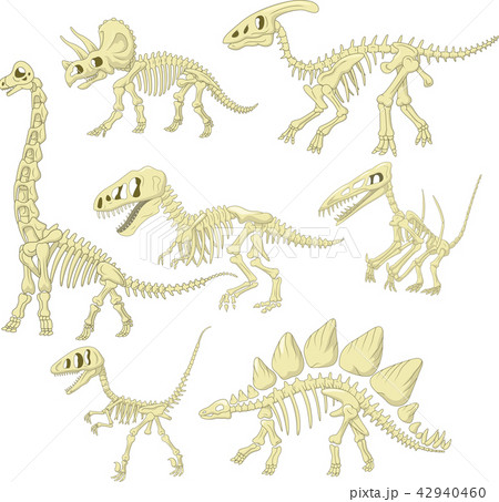 Cartoon Dinosaurs Skeleton Collection Setのイラスト素材