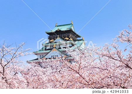 大阪城と桜 42941033