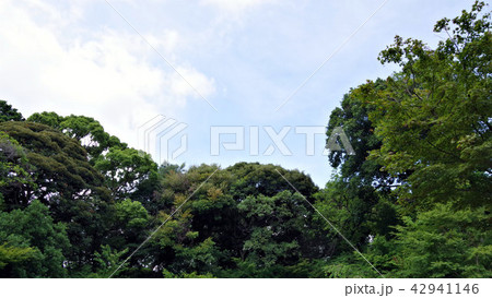 野毛山の空 野毛山の空 42941146