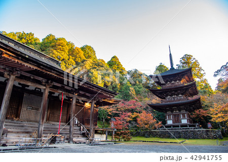 湖東三山　西明寺　三重塔と紅葉　本堂 42941755