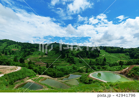 【新潟県長岡】山古志の棚田や棚池の夏は美しい緑の季節 42941796