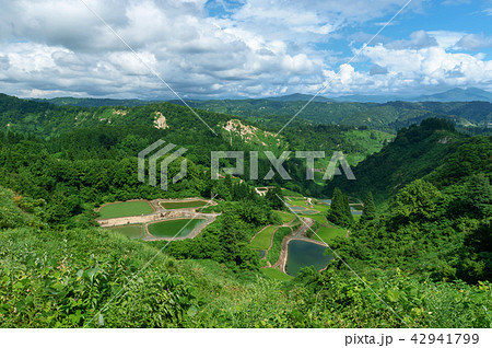 【新潟県長岡】山古志の棚田や棚池の夏は美しい緑の季節 42941799