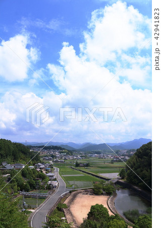 高台からの見晴らし 高台からの見晴らし 42941823