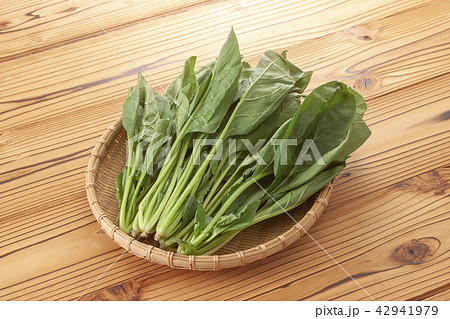 ほうれん草 ほうれん草 42941979