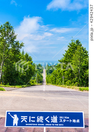 《北海道》天に続く道・ドライブイメージ 42942437