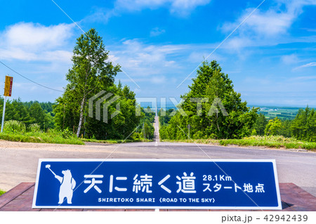 《北海道》天に続く道・ドライブイメージ 《北海道》天に続く道・ドライブイメージ 42942439