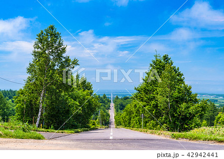 《北海道》天に続く道・ドライブイメージ 42942441