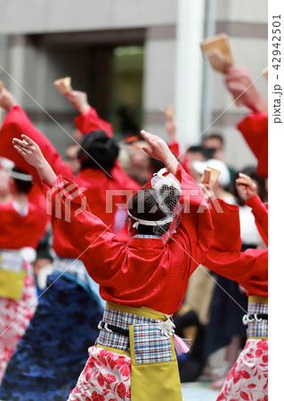 よさこい よさこい 42942501