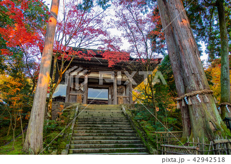 湖東三山　西明寺　紅葉　二天門 42942518
