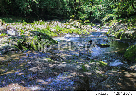 菊池渓谷 42942676