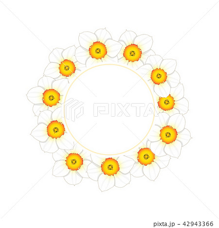 White Daffodil - Narcissus Flower Banner Wreath White Daffodil - Narcissus Flower Banner Wreath 42943366