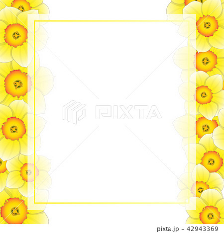 Yellow Daffodil - Narcissus Flower Banner Border Yellow Daffodil - Narcissus Flower Banner Border 42943369