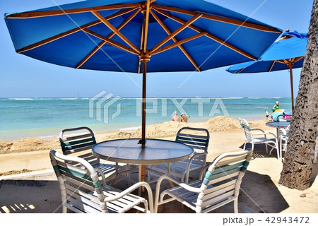 ハワイの休日 ハワイの休日 42943472