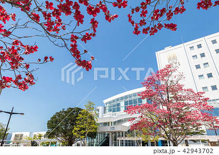 青森県八戸市　八戸駅東口前 42943702