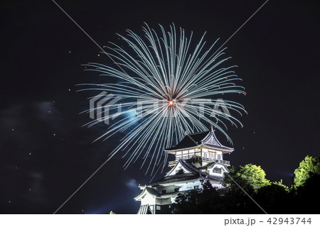 【愛知県犬山市】日本ライン夏まつり納涼花火大会 42943744