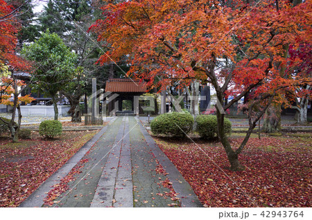 報恩寺 報恩寺 42943764