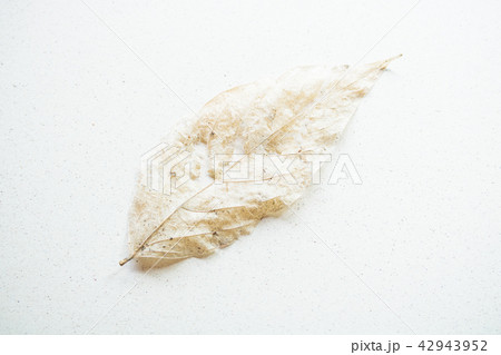 背景素材・砂入り紙の上の枯葉 42943952