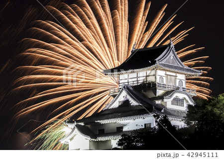 【愛知県犬山市】日本ライン夏まつり納涼花火大会 【愛知県犬山市】日本ライン夏まつり納涼花火大会 42945111