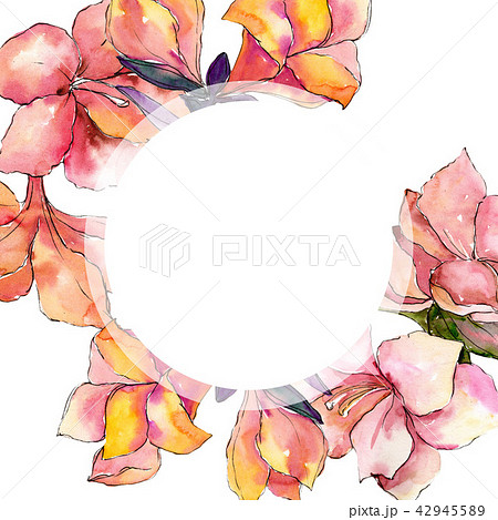 Watercolor Orange Amaryllis Flower Frame のイラスト素材