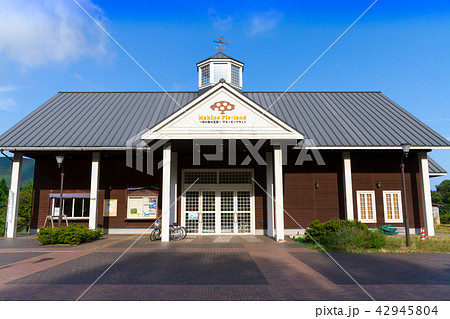 マキノピックランド　メタセコイア並木 42945804