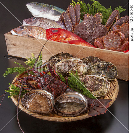 高級魚の集合 42946046