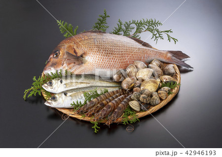 魚介いろいろ 42946193