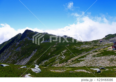 木曽駒ヶ岳 42946686