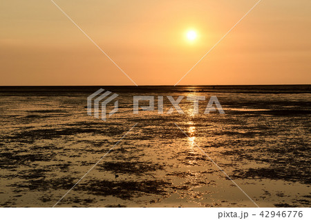 夕日 夕焼け 夕暮れ 42946776