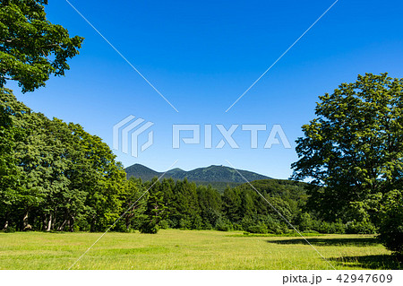 (青森県-風景)観光地・萱野茶屋高原の風景4 (青森県-風景)観光地・萱野茶屋高原の風景4 42947609