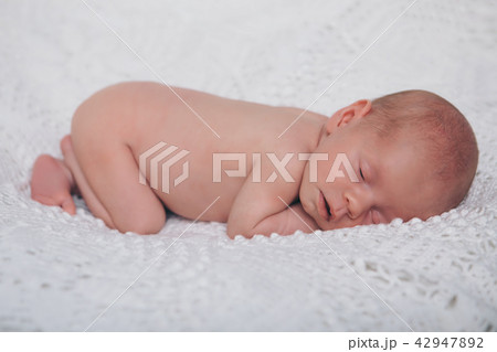 Portrait of newborn baby on a white background. 42947892