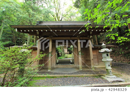 松平東照宮 松平郷 豊田市 松平東照宮 松平郷 豊田市 42948329