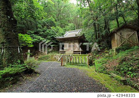 松平東照宮 松平郷 豊田市 松平東照宮 松平郷 豊田市 42948335