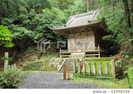 松平東照宮　松平郷　豊田市 42948336