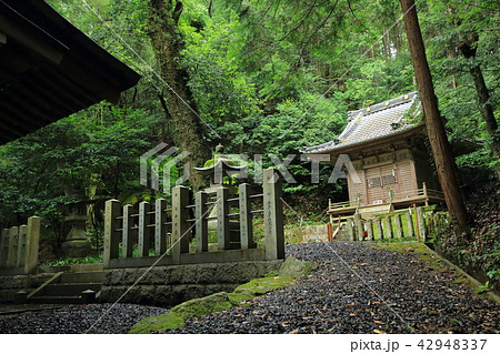 松平東照宮 松平郷 豊田市 松平東照宮 松平郷 豊田市 42948337